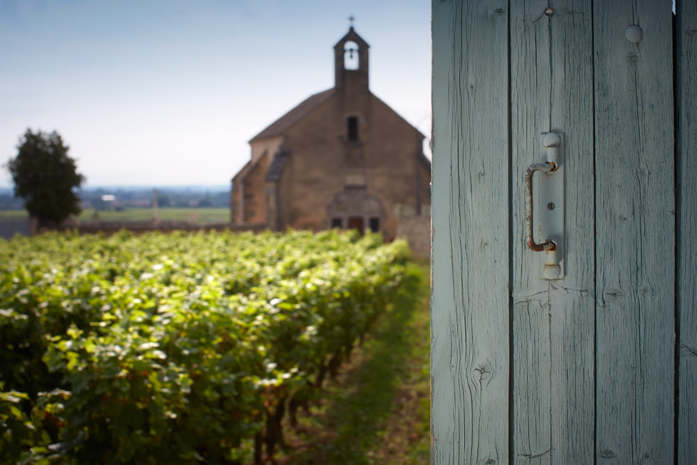 Volnay 1er Cru « Clos de la Chapelle »  Monopole